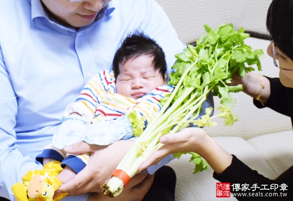 剃胎毛、滿月剃頭、嬰兒剃頭、嬰兒理髮、嬰兒剃髮、嬰兒剃胎毛、嬰兒滿月剃頭、寶寶剃頭、剃胎毛儀式、剃胎毛吉祥話、滿月剃頭儀式、滿月剃頭吉祥話、寶寶剃胎毛、寶寶滿月剃頭理髮、 新北板橋區剃胎毛、新北板橋區滿月剃頭、 新北板橋區嬰兒剃頭剃胎毛、新北板橋區嬰兒理髮、新北板橋區嬰兒剃髮、陳寶寶(新北板橋區到府嬰兒寶寶滿月剃頭理髮、免費到府嬰兒剃胎毛儀式吉祥話)。到府剃頭剃胎毛主持、專業拍照、DVD光碟、證書。★購買「臍帶章、肚臍章、胎毛筆刷印章」贈送：剃頭、收涎、抓周，三選一。2016.01.03 照片10